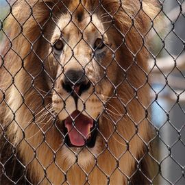 Malla de alambre penetrante anti del parque zoológico del acero inoxidable 304 para la malla de cercado protectora del león de los animales