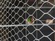 Lightweight Stainless Steel Aviary Mesh Plain Weave Without Toxic Material