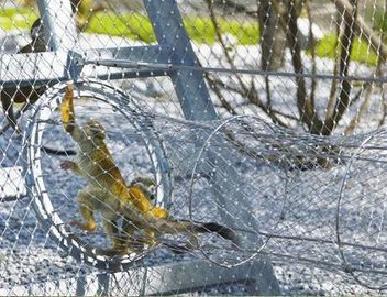 Tipo malla de 316 virolas del parque zoológico del acero inoxidable de la cuerda del cable de alambre para la red del pájaro de la red de la pajarera